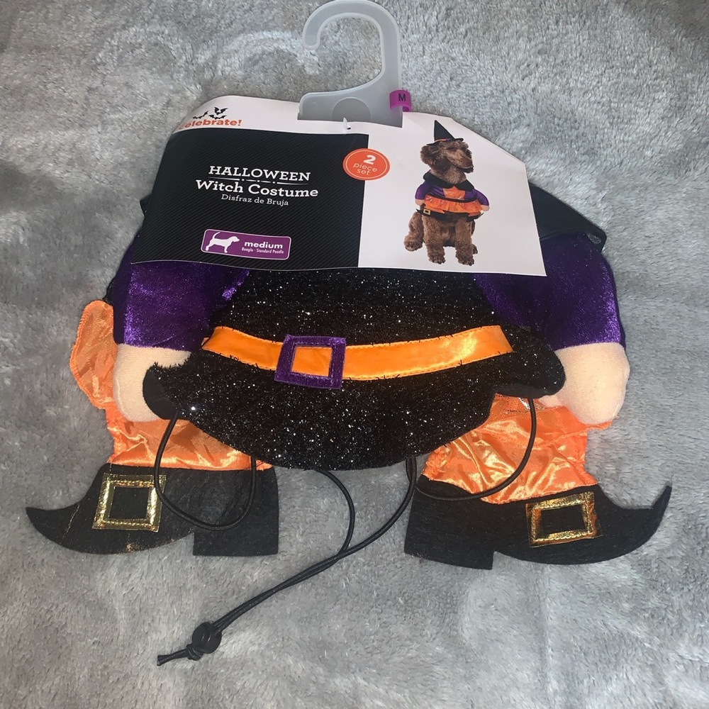 Size Medium Pet Halloween Costume Witch Dog Celebrate New